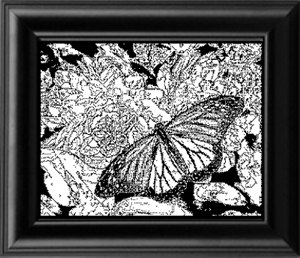 MONARCH BUTTERFLY GLASS ENGRAVING PATTERN